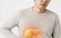 간에 쌓인 지방, 콩팥까지 위협…콩팥질환 위험 32% 높여[e건강~쏙]