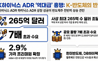 SK하이닉스 ADR상장의 힘…반도체株 약세 딛고 반등 견인