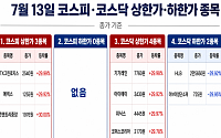 [급등락주 짚어보기] 호르무즈 봉쇄에 STX그린로지스 상한가⋯콘텐트리중앙ㆍ에넥스 등도↑