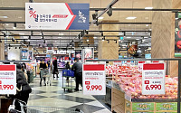 먹거리 할인에 3500억 투입…대형마트·온라인몰 90곳 참여[하반기 경제전략]