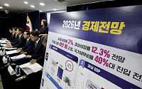 2026년 하반기 경제성장전략 관계부처 합동브리핑 [포토]