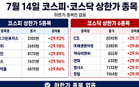 [급등락주 짚어보기] 애국매수에 모나미 상한가…STX그린로지스·비비안·현대약품도 강세