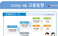 6월 취업자 수 6만3000명↑…두 달 만에 '플러스' 전환 [상보]