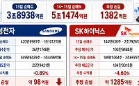 급락 때 삼전·하닉 3.9조 산 개미, 이틀 반등에 5.1조 팔았다