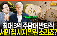 “대출 3억뿐”⋯수도권 ‘매매 난민’에 풍선효과 커지나 [집땅지성]