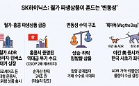 SK하이닉스 흔드는 월가…ADR 레버리지 무더기 상장에 변동성 우려