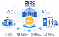 금융硏 “‘CBDC·예금토큰’ 중심 다중통화 시스템 구축해야”