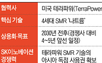 SK이노베이션, 테라파워 아시아 독점권 앞세워 동남아 SMR 선점 노린다
