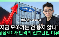 삼성SDI, ESS 성장 수혜 기대⋯“2차전지 분할 매수 유효” [찐코노미]
