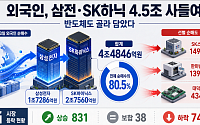 외국인, 삼전·SK하닉 4.5조 사들여…반도체도 골라 담았다