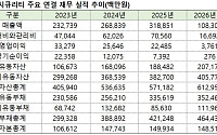 드림시큐리티, 본업 적자·부채비율 300% 돌파 속 0% 금리 250억 CB 발행