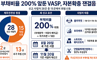 ‘부채비율 200%’ 규제 심사대…경고등 켜진 VASP 자본확충 잰걸음