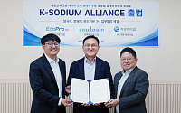 애경케미칼, 나트륨배터리 핵심소재 경쟁력 강화 '속도'