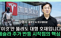 테슬라 주가 반등 열쇠는?⋯“8월이 변곡점” [찐코노미]