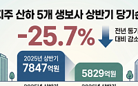 업황 악화·계리 가이드라인 이중고…금융지주 생보사 순익 ‘둔화’