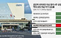 증시 날개 단 CXMT…삼성·SK하닉·마이크론 ‘3강’ 추격 박차