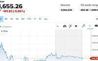 ASML, 중국 노광장비 개발 착수에 6% 하락...스페이스X, 최고가서 반 토막 [뉴욕증시 무버]