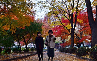 [포토]단풍과 낙엽의 거리
