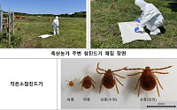 백신·치료제 없는 SFTS, 지난해 환자 65% 급증…축사 ‘진드기 경보’