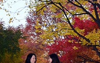 [포토]가을에 걷기 좋은길...낙엽의 거리