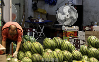 양산 40.3도·부산 38.8도 최고치…한반도 40도 폭염 일상화 우려