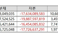 ‘자회사 늪’ 빠진 에이텀…꼬리가 몸통 흔드는 ‘웩더독’ 우려