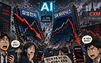 “회사 망해요?” 5배·11배 폭등 뒤 한달 만에 반토막…반도체 대장주에 무슨 일이
