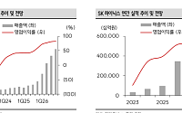 SK證 “SK하이닉스, 메모리 재평가 핵심은 주주환원…목표가 400만원 유지”