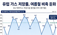 유럽 LNG 저장률 17년래 최저⋯가격 급등 탓 비축 급감