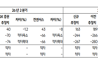 SK證 "SKIET, 생산거점 폴란드 일원화…고정비 부담 완화"