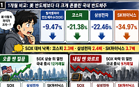 美 오를 땐 찔끔, 내릴 땐 와르르…엇박자 커진 K-반도체