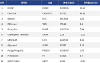 [넥스블록][인기 검색 코인 톱15] Cash Cat 63%·HOME 38% 급등…밈코인·신규 상장주에 관심 집중