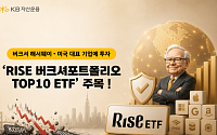증시 변동성 확대속 빛난 '버핏식 투자'…'RISE 버크셔포트폴리오TOP10 ETF' 눈길