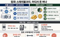 결제회사냐 자산운용사냐…원화 스테이블코인 수익모델 갈림길