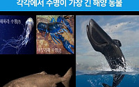 400년, 4000년 사는 해양생물⋯'역노화' 기술 개발 추진