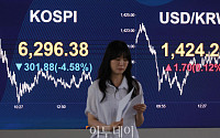 코스피 4.58% 하락, 환율 1420원대 [포토]