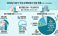 손보사 민원·분쟁조정 증가세 유지…협회 이관효과는 ‘아직’