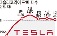 테슬라, 국민차 그랜저도 제쳤다…FSD 기대감 타고 ‘독주’ [뚫린 안방, K-전기차 역차별]