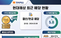 현대해상, 여전한 배당 제한…주주환원 '대안 카드'는
