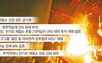 철강동맹으로 50% 관세장벽 넘는다…美 생산 승부수 [현대차·포스코, 현지화 생존법]