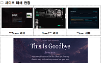 문체부·경찰청, 북아프리카 거점 K콘텐츠 불법 유포 사이트 3곳 폐쇄