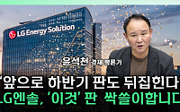 "ESS 폭발적 성장 시작"⋯LG엔솔ㆍ삼성SDI 실적 반등 신호 [찐코노미]