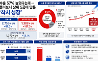 수출 57% 늘었다는데…뜯어보니 상위 5곳이 만든 '착시 성장’