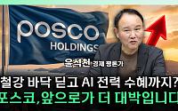 "리튬 더 오르면 주가 안 오를 이유 없다"⋯포스코홀딩스 반전 조건 [찐코노미]