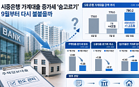 "대출 조이기 통했다" 8월 가계대출 증가세 '멈칫'⋯ '8·13 대책'에 재폭발 우려