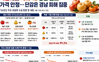 폭염에도 사과·배 생산 늘고 가격 안정…단감은 경남 피해 집중