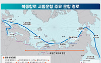 7000㎞ 짧아도 돈 되나…첫 컨테이너 북극항로, 경제성 시험대