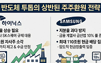지분율 올려야 하는 하닉 vs 지분 넘치면 안 되는 삼전