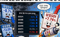 삼성전자 9%·생명 13%↓…역대급 환원에도 그룹株 급락