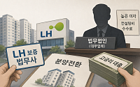 “기회 와도 돈이 없다”⋯고령·무직 임차인 가로 막는 ‘돈줄 절벽’ [분양전환의 그림자②]